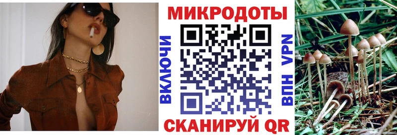 где найти   Черняховск  сайты даркнета формула  Галлюциногенные грибы Magic Shrooms 