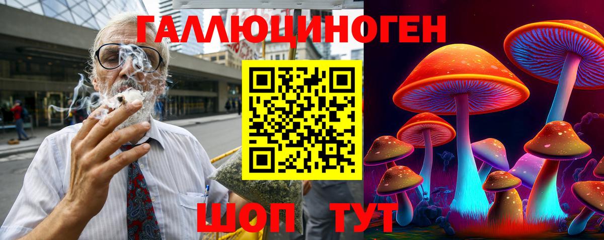 Галлюциногенные грибы Psilocybe Черняховск