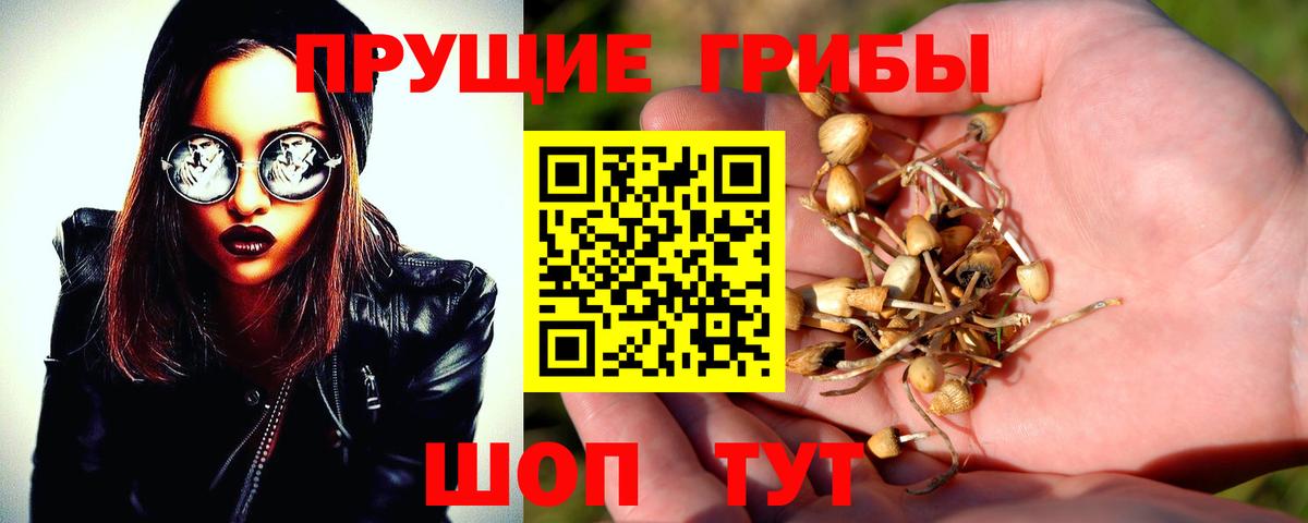Галлюциногенные грибы ЛСД  Вход с VPN  Черняховск 